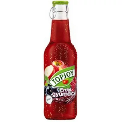Topjoy Erdei Gyümölcs 0,25l       24#+DRS DÍJ:50FT